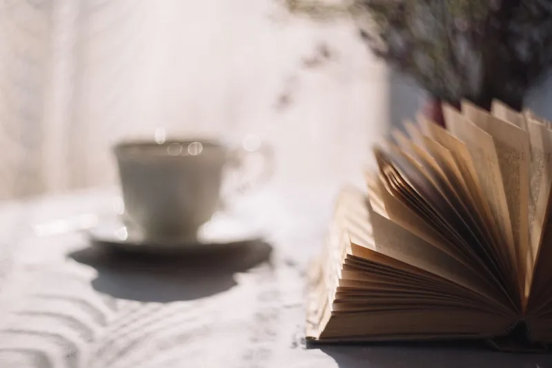 What the Margins Teach: On the Profound Intelligence of Unscheduled Time